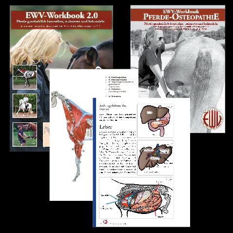ewv workbooks