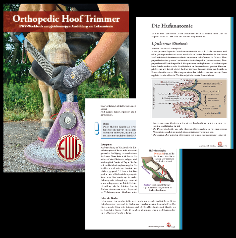 workbook OHT